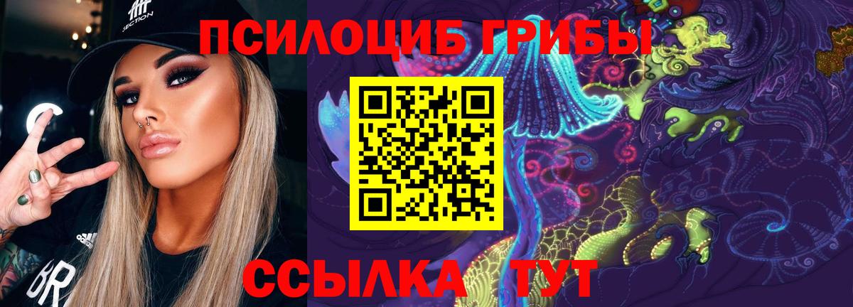 Каспийск  Галлюциногенные грибы прущие грибы  Вход с VPN  Галлюциногенные грибы Psilocybine cubensis 